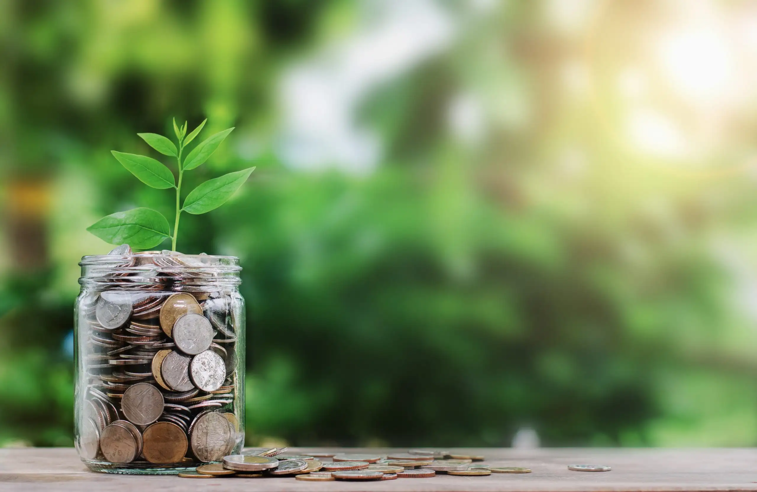 Onde Investir Meu Dinheiro