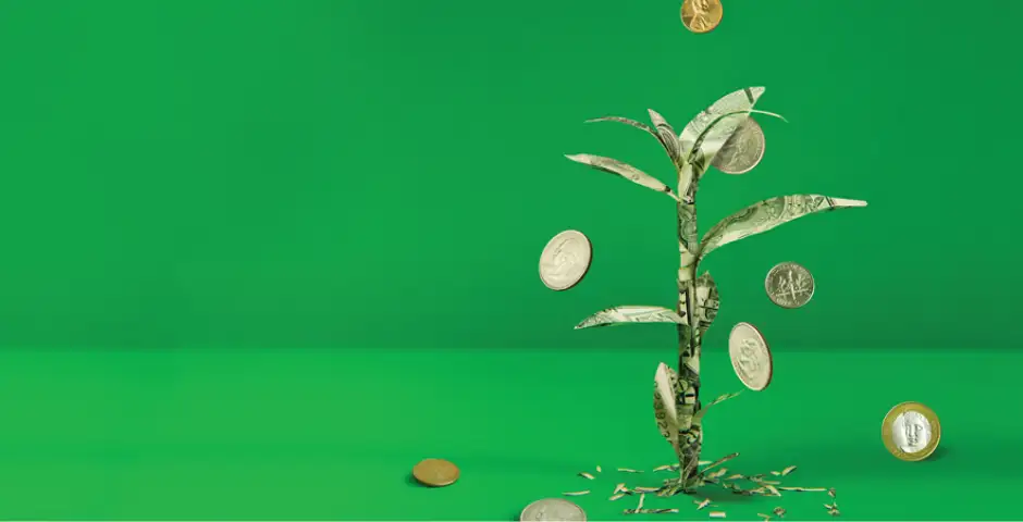 Como Funciona o Resgate da Poupança