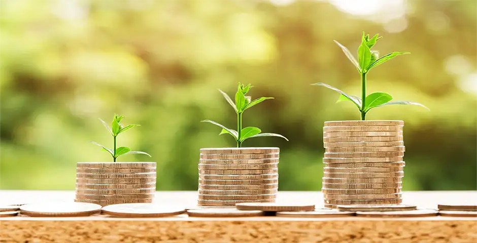 4 Opções Recomendadas de Investimento para Quem quer Aplicar em 2021