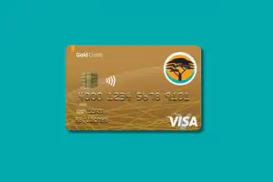 Find out more about the FNB Gold credit card quickly and easily