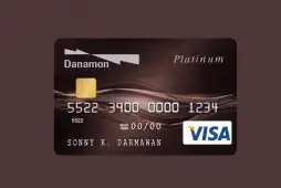 Danamon Visa Platinum