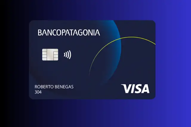 Patagonia Visa Classic